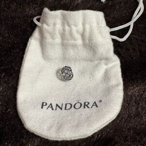 Retired Pandora Waunderlust Silver Charm and Bag